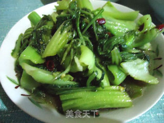 炝炒盖菜的做法