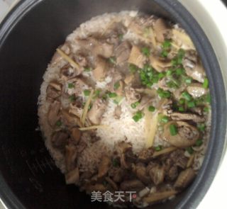 大鸽饭的做法