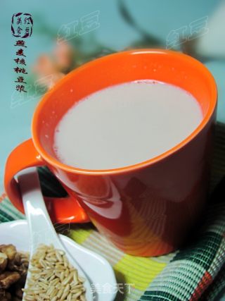 缓解疾病豆浆---燕麦核桃豆浆的做法