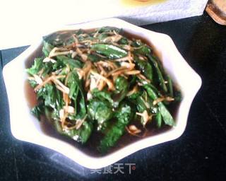姜丝青菜的做法