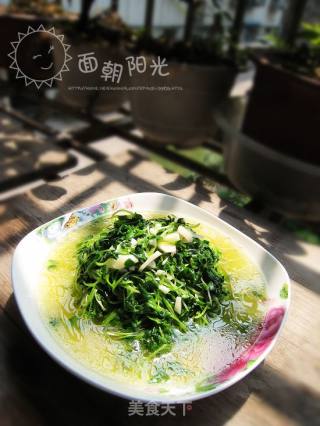 清炒萝卜苗的做法