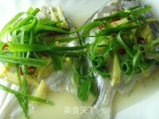 清蒸海鯧魚的做法