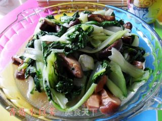 香菇小白菜的做法