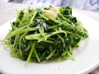 青翠欲滴----素炒豌豆苗的做法