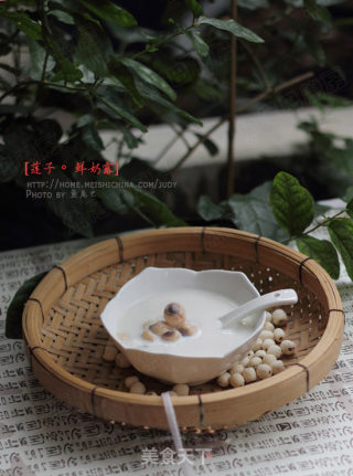 莲子鲜奶露的做法