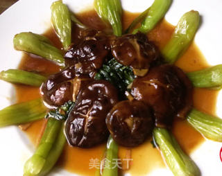 香菇油菜的做法