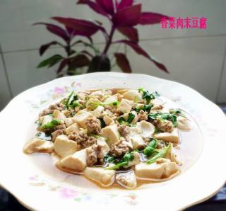 香菜肉末豆腐的做法