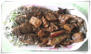 海鲶鱼烧豆腐的做法