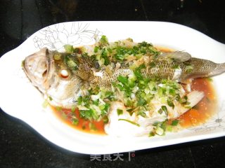 清蒸鲈鱼的做法