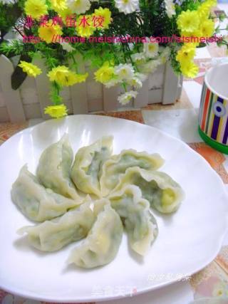 【百变面食】立冬饺子---韭菜鸡蛋水饺