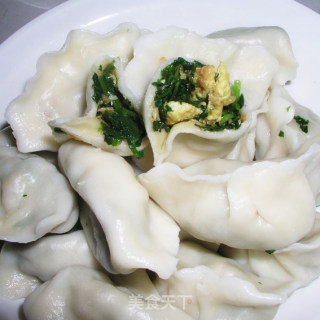荠菜海米饺子