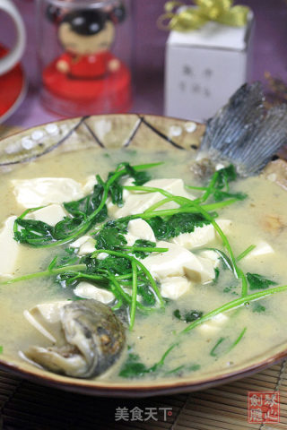 鲫鱼芫荽豆腐汤的做法
