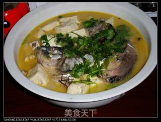 鲤鱼炖豆腐的做法