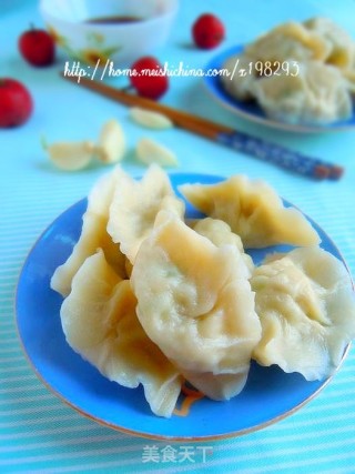 白菜豆腐素水饺的做法
