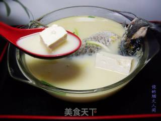 鲫鱼豆腐浓汤的做法