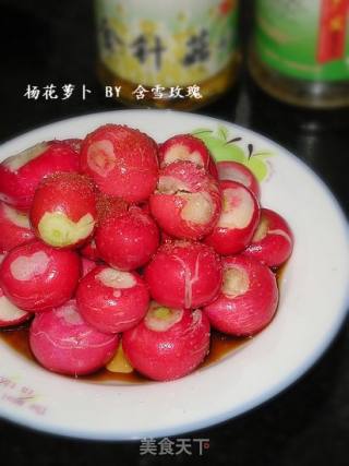 杨花萝卜的做法
