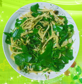 肉丝拌杨树叶的做法