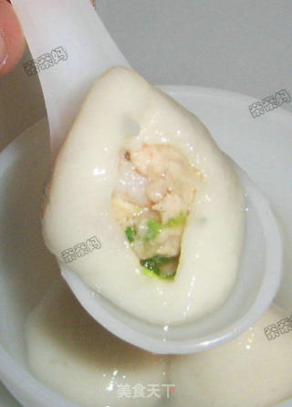 双重鲜味肉汤圆的做法