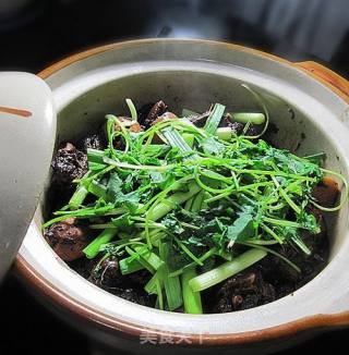 沙锅茨菇焖鹅的做法