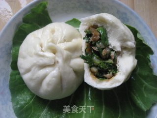 春天田野的味道——野香芥菜肉包的做法