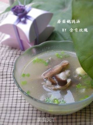 蘑菇鹌鹑汤的做法