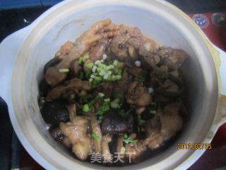 简单版--三杯鸡的做法