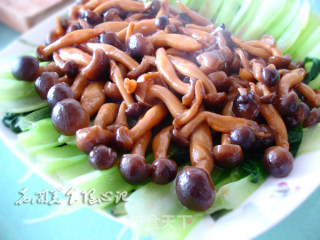 蟹味菇扒油菜的做法