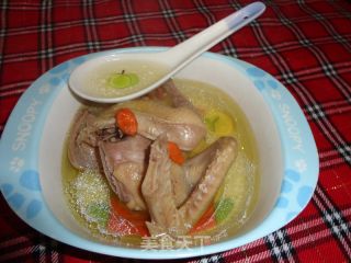 清炖鸽子汤的做法