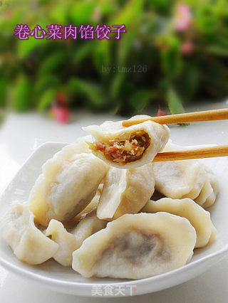 卷心菜肉馅饺子的做法