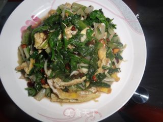 冰箱里的菜叶子—爽口凉菜