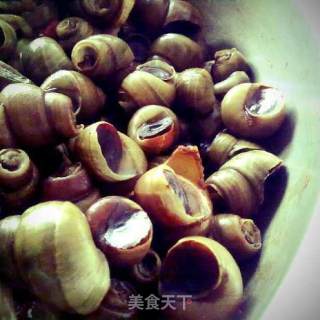 清明节前后的时令菜-家常炒螺蛳