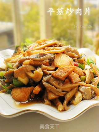 平菇炒肉片的做法