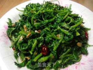 蒜炝苜蓿的做法