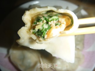 虾仁韭菜猪肉水饺的做法