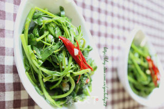 炝拌苜蓿，春天你野菜了没？的做法