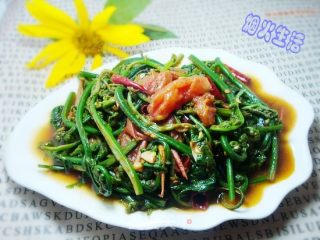 蕃茄炒水蕨菜的做法