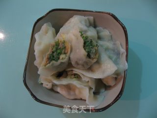 茴香肉饺子的做法