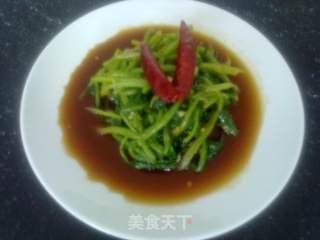 爽口蚝油菠菜的做法