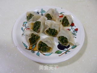 野菜美食——荠荠菜水饺的做法