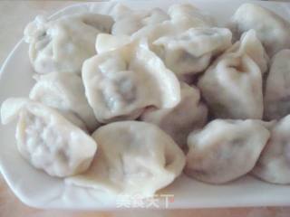 韭菜猪肉饺子的做法