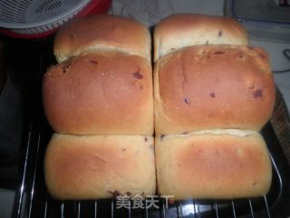 蔓越莓红糖土司的做法