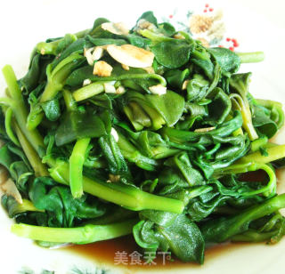 蒜蓉穿心莲的做法