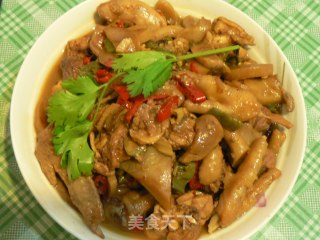 啤酒炖菌菇鸡块的做法