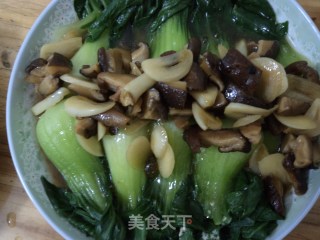 香菇扒上海青的做法