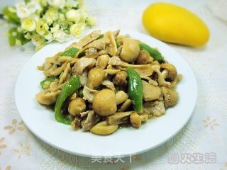 云南美味山珍——青头菌炒肉片的做法