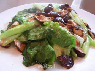 蚝油香菇生菜的做法