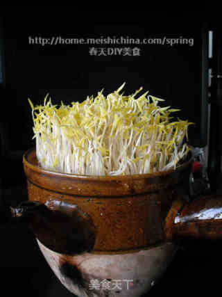 砂锅生绿豆芽的做法