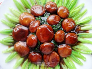 张炎家的美味家常小炒之一------蚝油香菇扒小青菜的做法