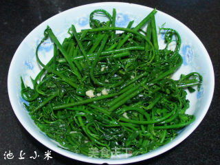 炝炒树仔菜的做法