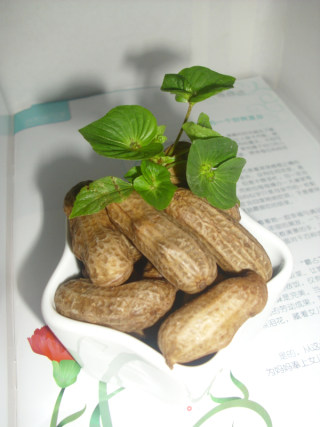 盐水花生的做法